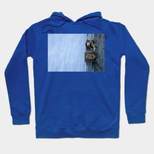 The Lock Hoodie